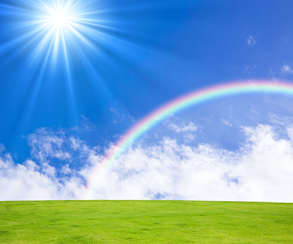 資産形成・保険事業